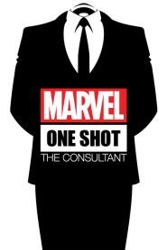 Marvel One-Shot: Konsultant 2011