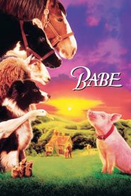 Babe – świnka z klasą 1995