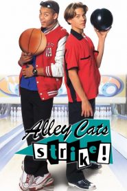 Alley Cats Strike 2000