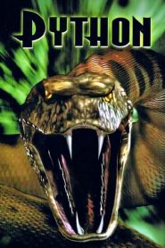 Python 2000