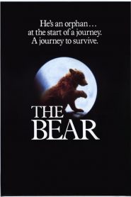 Niedźwiadek 1988