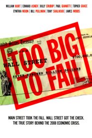 Too Big to Fail 2011